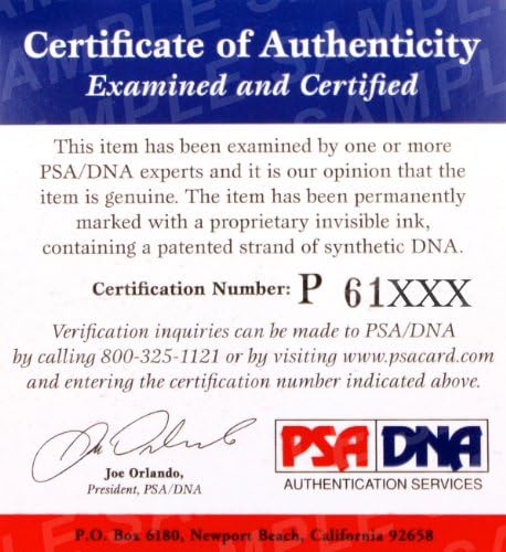Krzysztof Soszynski 2x potpisan UFC 122 borba istrošene korištene rukavice PSA / DNK COA Auto'd-autographed