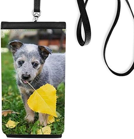 Zidno štenad PET fotografija slika Telefon novčanik torbica Viseća mobilna torbica Crni džep